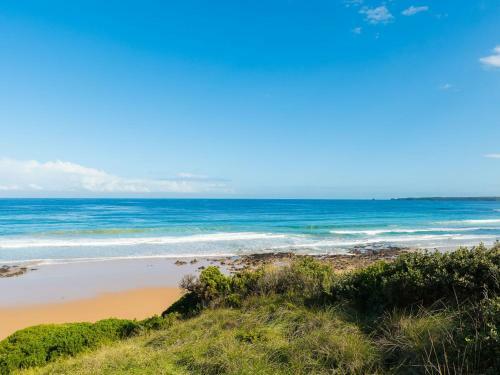 Swan Bay Views