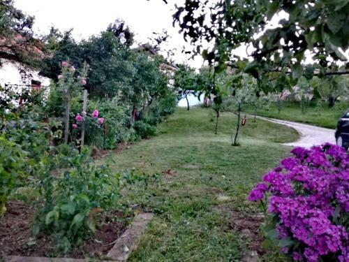 Hostal Apartman Gm
