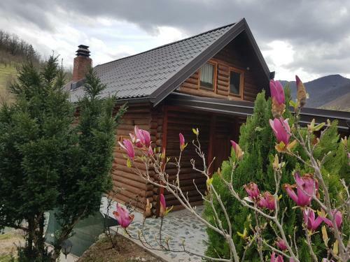 Brvnara - Winter House