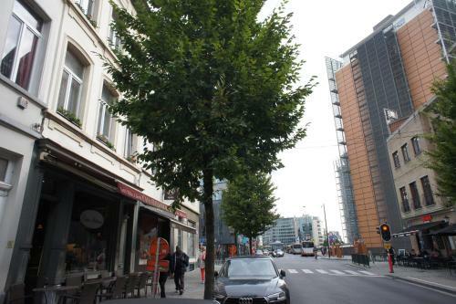 Apartments Berlaymont Ohy