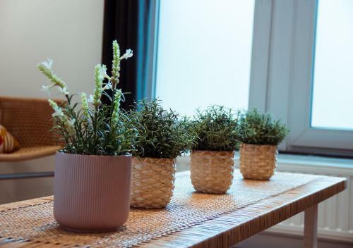 Apartamento Smartflats City - Central