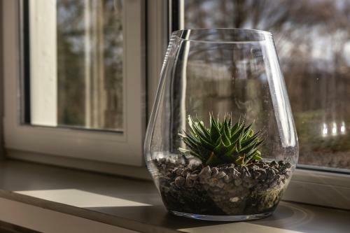 La Villa Des Sources � 500 M�tres Du Circuit