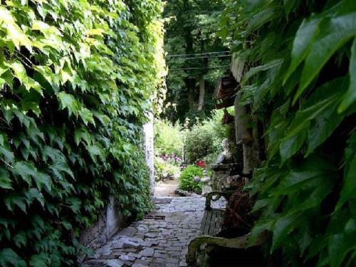 Apartment- La Ferme