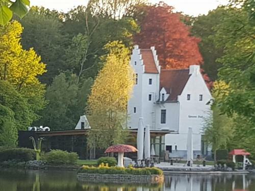 Bed & Breakfast Boslucht Leuven