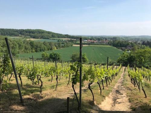 Bed & Breakfast Boslucht Leuven