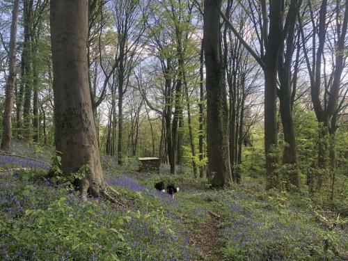 De Kleine Hoeve