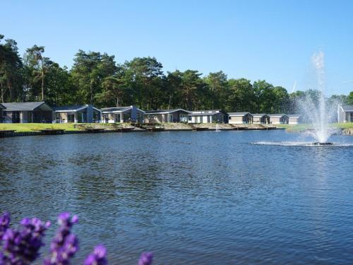 Holiday Home Europarcs Resort Zilverstrand-9