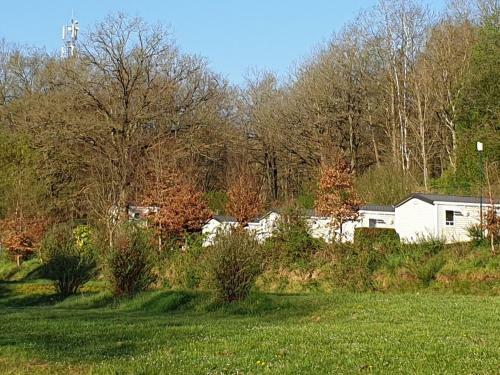 Comfortable Wooden Lodge Located In The Ardennes