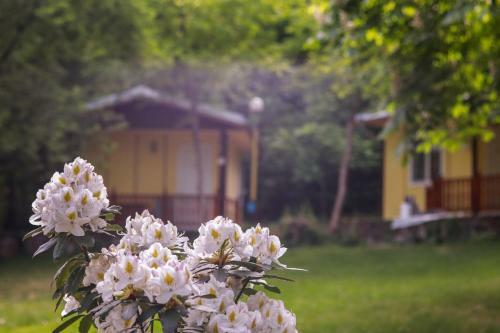 23 Persons Bungalow In Nice Complex For Family