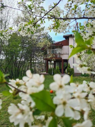 Hotel Touristic Home Kailaka