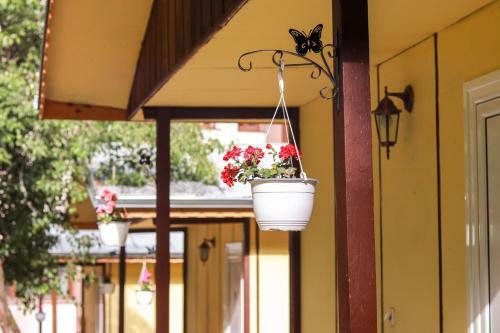 23 Persons Bungalow In Nice Complexe And Facilities For Family
