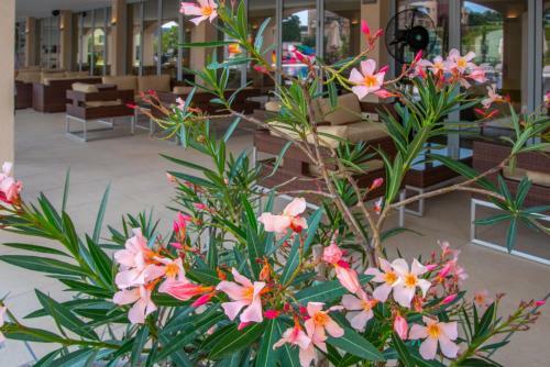 Belvedere Hotel - All Inclusive