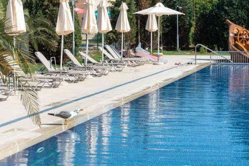 Belvedere Hotel - All Inclusive