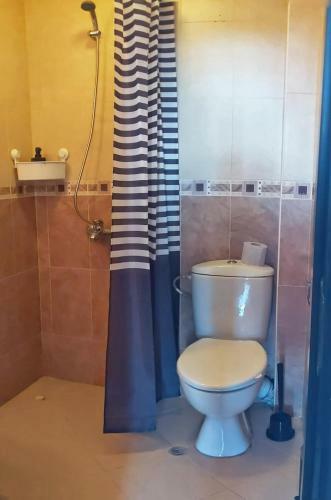 Apartment Oazis 54