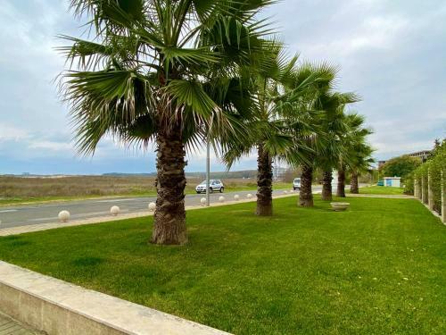 Apartamento Teos Aparments Primorsko