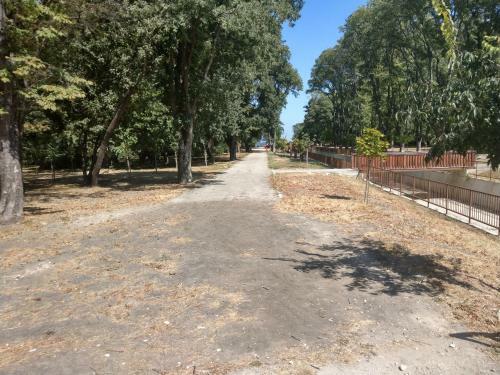 Apartament Rosi