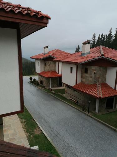Hostal ???? Forest Nook