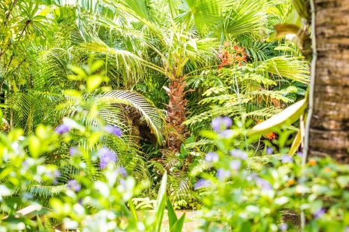 Bamboo Bonaire Boutique Resort