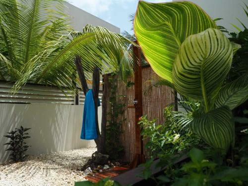 B&B Kas Chuchubi
