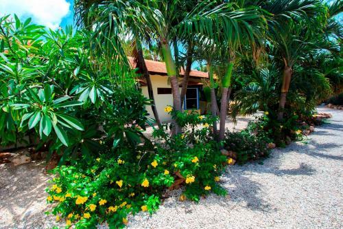 Hostal Goood Resort