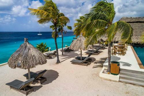 Aparthotel Buddy Dive Resort