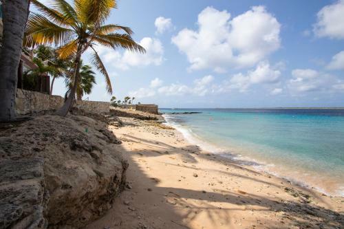 Apartamento Oceanfront Grouper At Den Laman