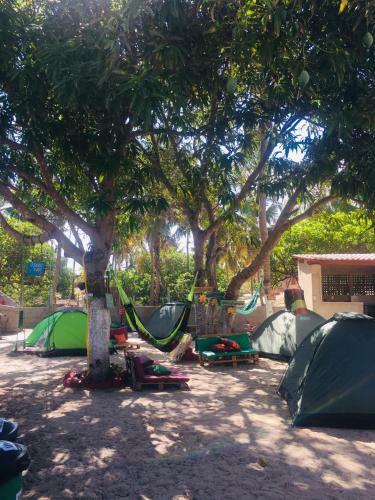 Camping Vida Verde - Icarai de Amontada