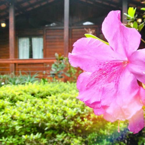 Garden -casas Econ�micas