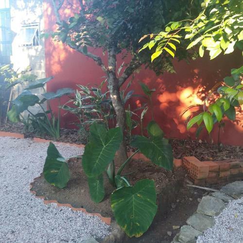 Garden -casas Econ�micas