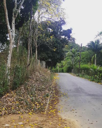 Cantinho No S�tio
