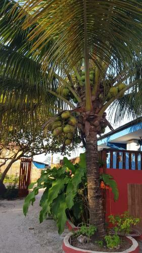 Hostal Pousada Barra Sol