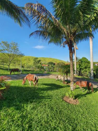 Hotel Pousada Recanto Da Lunane
