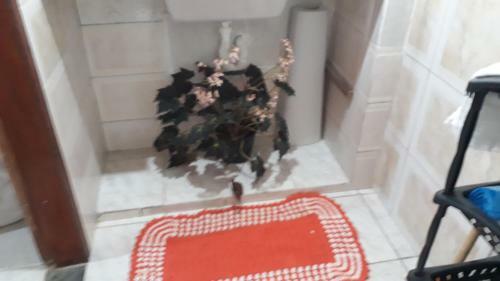 Espa�o Hol�stico Amor E Luz