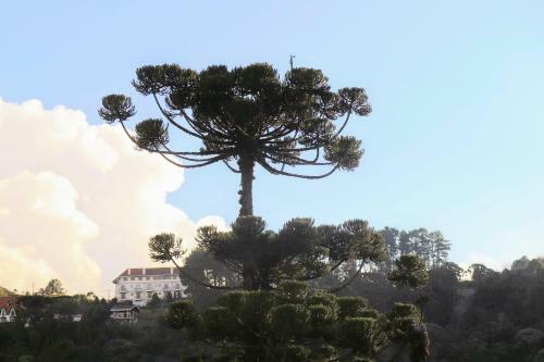 Villa Viena - Mans�o Em Condom�nio de Luxo No Capivari