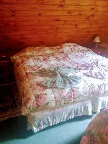 Hostal Canto Das Arauc�rias