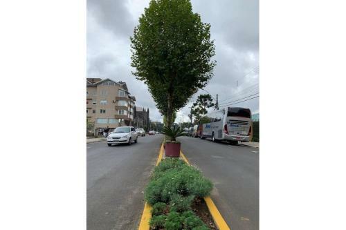 Apartamento Novo 1d - Catedral Canela