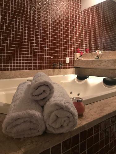Hotel Montanh�s