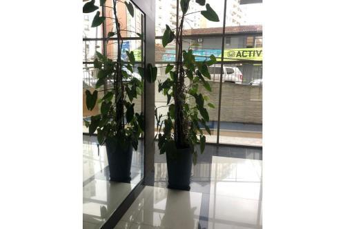 Excelente Apartamento No Cora��o Da Cidade