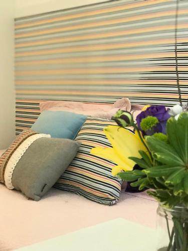 Hostal Republica Descolada - C�rrego Grande
