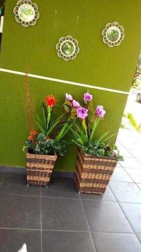 Hostal Pousada Cataratas Falls