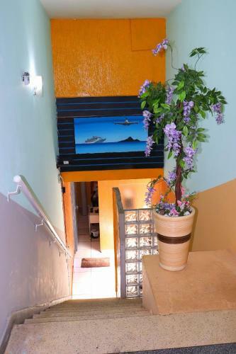 Bed & Breakfast Colt Hotel