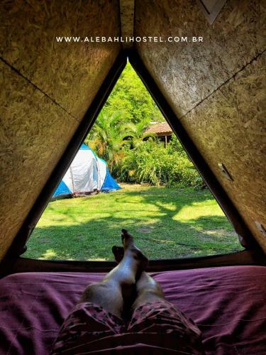 Smartcamp Ilhabela