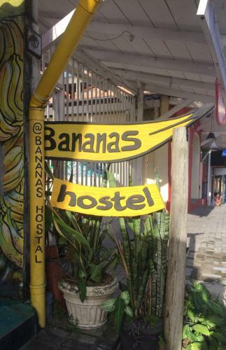 Bananas Hostel