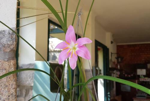 Apartamento Suites Flor- Hilda