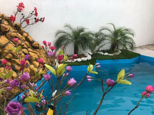 Hostal Paraiso Dos Reis