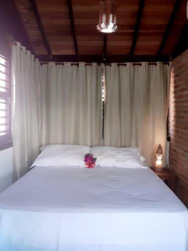Hostal Villa Samambaia