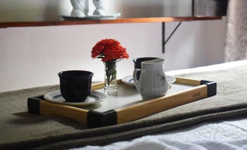 Yellow Rock Hostel E Casa Da Patr�cia