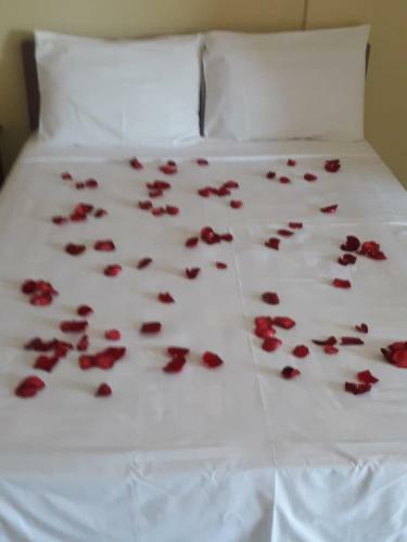 Hostal Pousada Alem�o Do Litoral