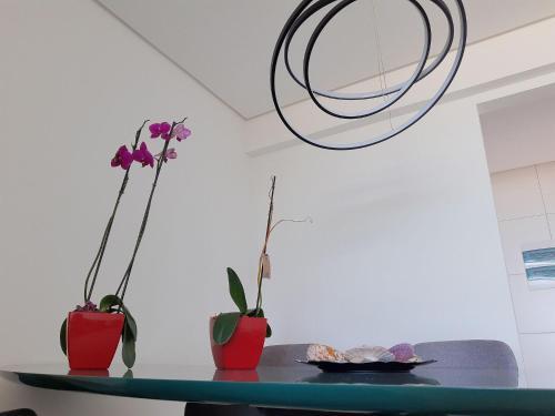 Apartment In Jacarecica