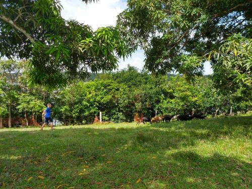 Agroturismo Para�so D��ngelo